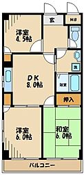 八王子市松木