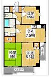 入間郡三芳町大字藤久保