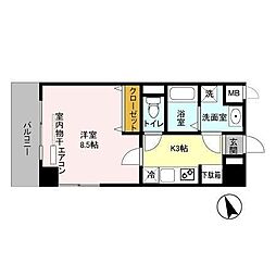 アルカータ壽 205