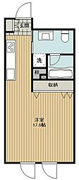 ゼルコヴァ 506