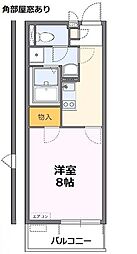 レオネクスト見沼　コヅチ 101