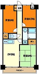 ラフィネ相武台II 205