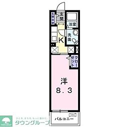 カーサ・コルソ 204