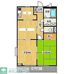 グレイスコート