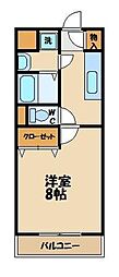 プリムラ
