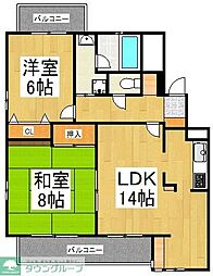 シュタインハウス