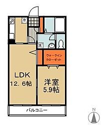 Ｒａｆ　ｆｉｎｅ　ｐａｌａ　ｚ　ｚｏ 205