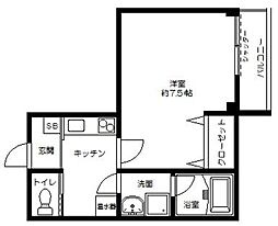 エバーグリーンIII 205