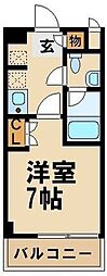 ウィスティリア高津 213