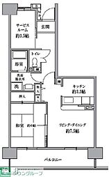 Ｔ’ｓｇａｒｄｅｎ清瀬 905
