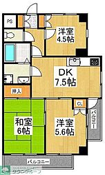 市川第七ビル 401