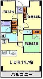 ルネス・アレイゼ 208