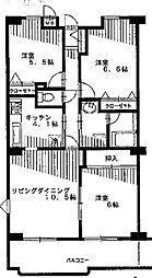 ゴールドクレスト 202