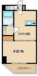 ロゼットIII 501
