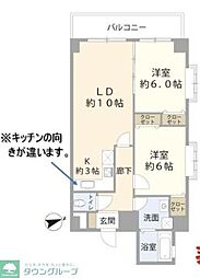 SPRING　COURT 501