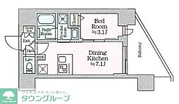 ティモーネグランデ田端ノルド 502