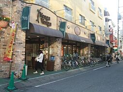 ロッソ ペレンネ 501