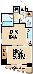 B CITY APARTMENT SUGINAMI TAKAIDO 501
