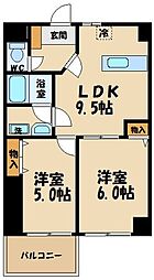 ブラウン・ベル 301