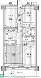 Ｎステージ東小金井 302