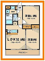 ウィステリア浅間 206