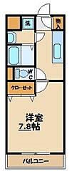 ヴィオラ・コリーヌ 406