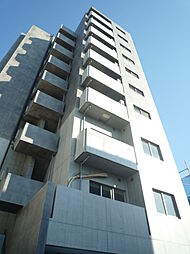 グレイスカメリア 802