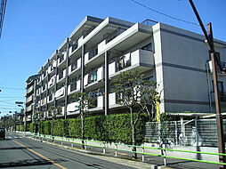 ローリエ西亀有 301