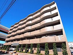 プラシード 607