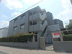 ピュアコート 204