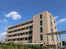 スリーホークス・サニー 206