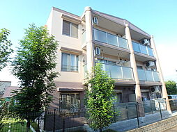 パルメゾン向台 102