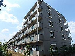アバンダント東小金井 201