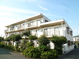 シャトー藤野 303