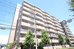 アドバンス明神町　Ａ棟 613