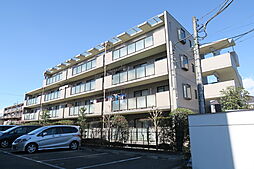 ヴューテラス松の木 201