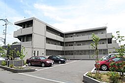 プロスペリティ 302