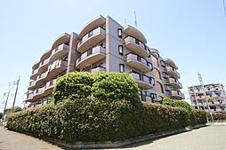 ティーコートけい 303