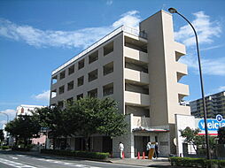 フルブルーム 303