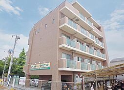 グラウクス 203