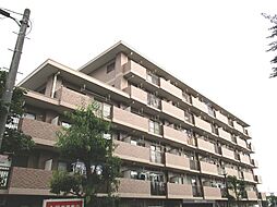 柏台グリーンヒルズ 203