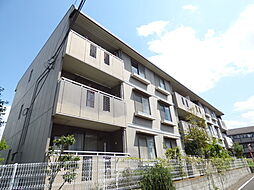 キャロットハウス 103