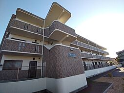 Ｓ　ＳＱＵＡＲＥ 201