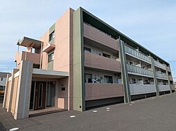 エレフセリア 302