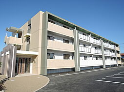 エスペランサ 205