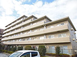 ベルヴェデーレ 301