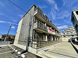 ディビーノ　ルクス 101