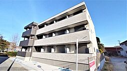 Ｖｉｔａ　Ｃｏｍｏｄａ 305