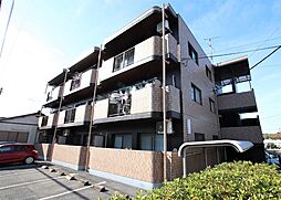 パインフィールド 203