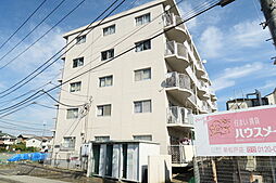 チェリーヒルズ新松戸 303